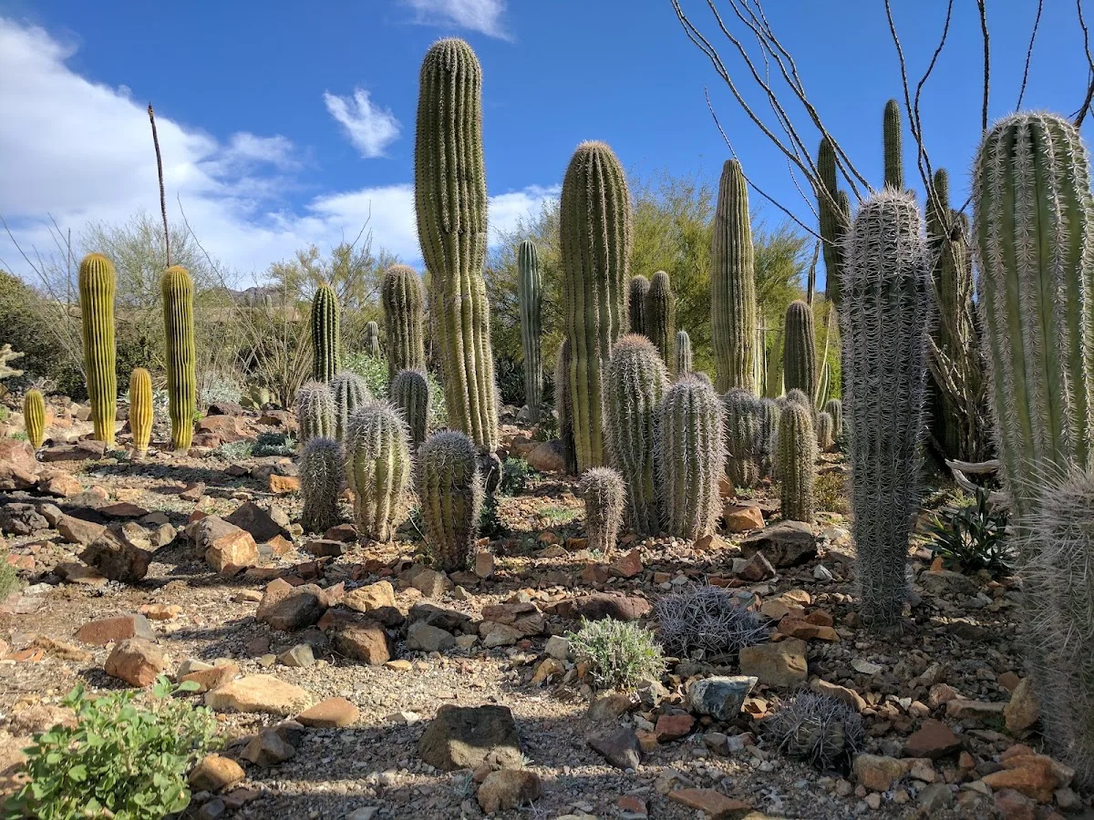 Arizona-Sonora Desert Museum