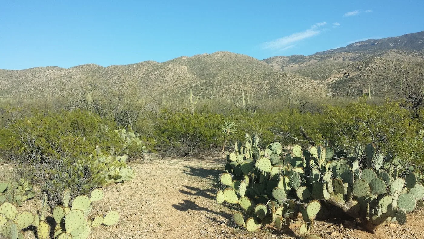 Douglas Springs Trail