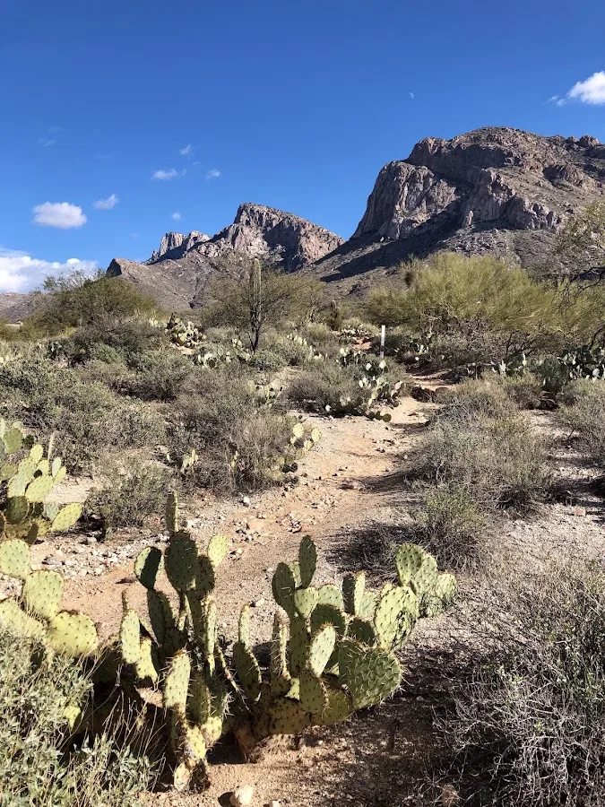 Linda Vista Loop Trail