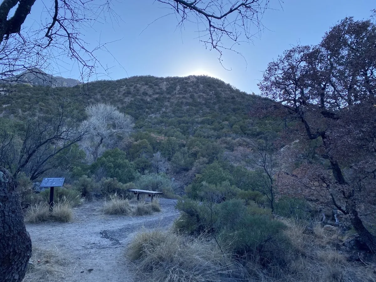 Madera Canyon Picnic Area