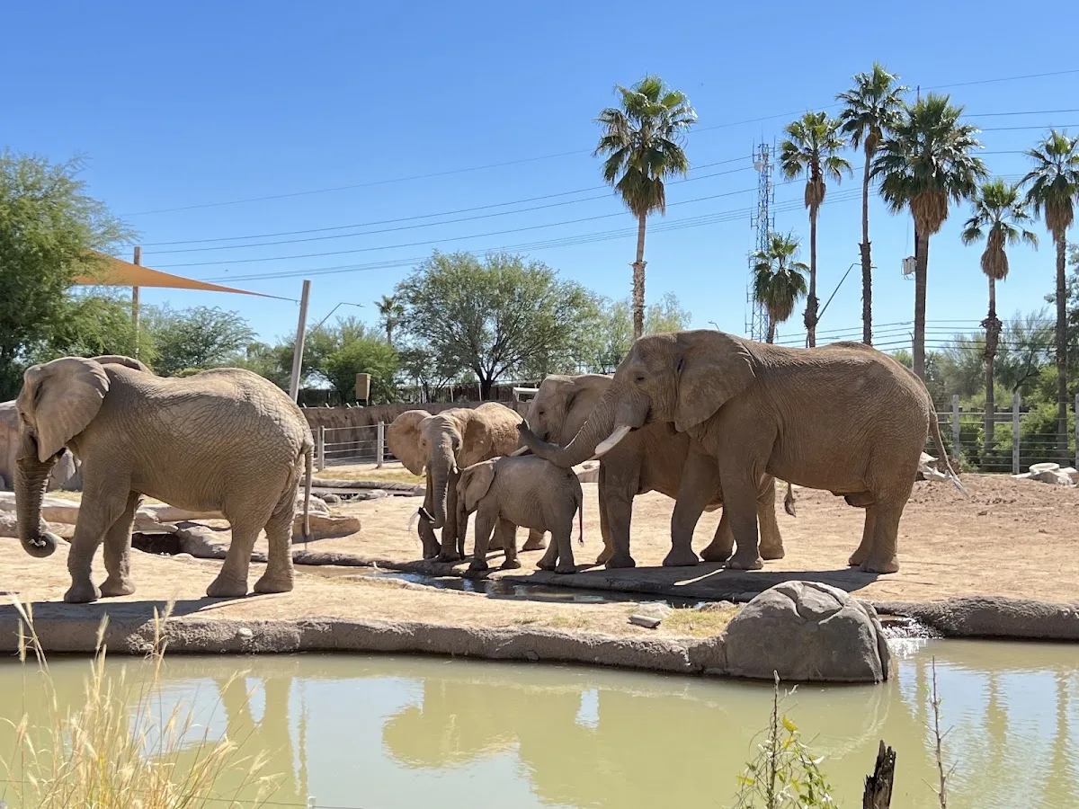 Reid Park Zoo