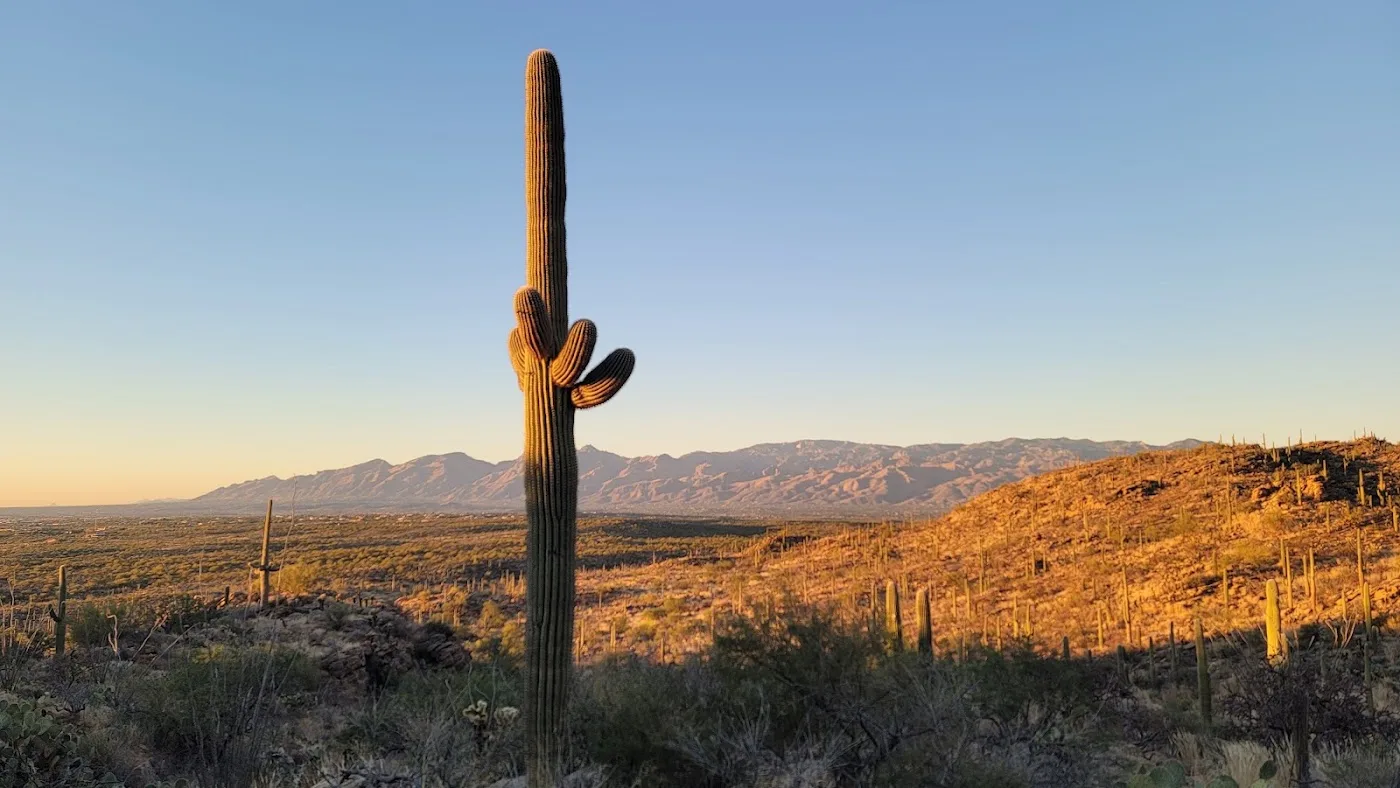 Tanque Verde Ridge Trail