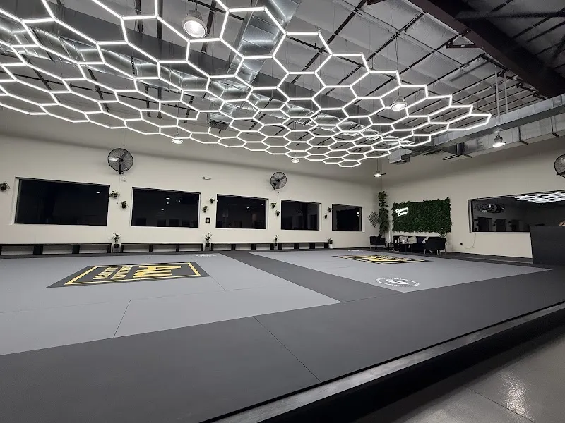 Au Brazilian Jiu-Jitsu