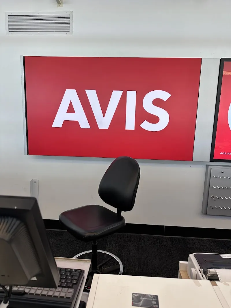 Avis Car Rental
