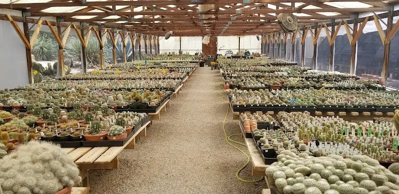 B & B Cactus Farm