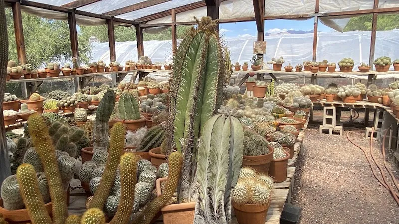 Bach's Greenhouse Cactus Nursery