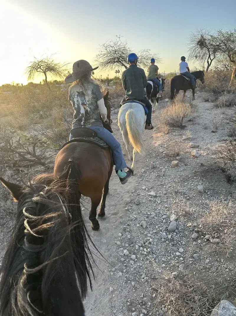 Catalina Riding Club