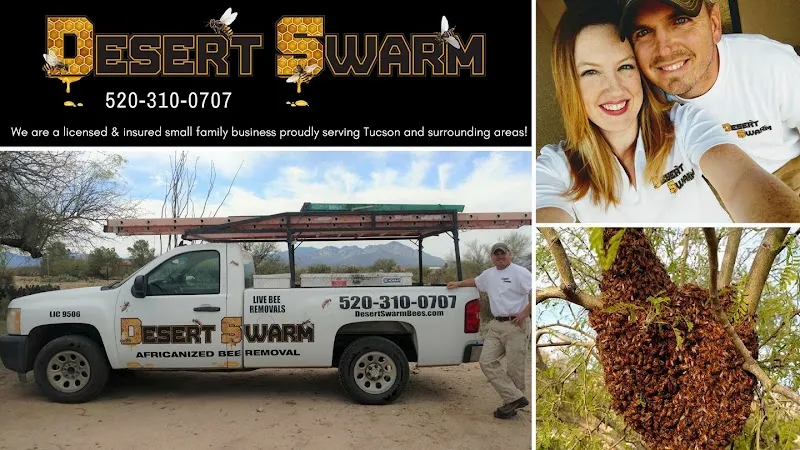 Desert Swarm Bee Removal, LLC