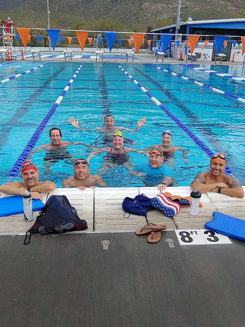 Dolphins of the Desert Swimming Academy
