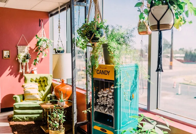 Face the Fight Apothecary Spa | Facials & Head Spa Tucson