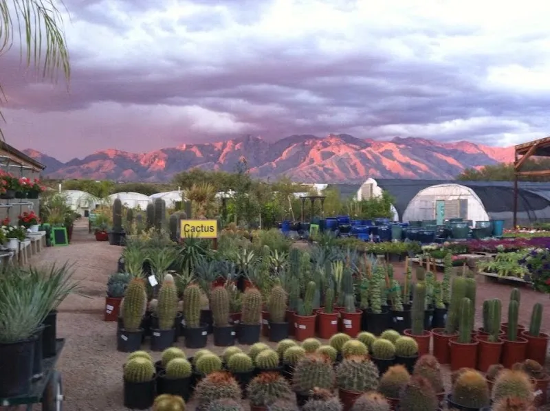 Green Things Nurseries & Gardening