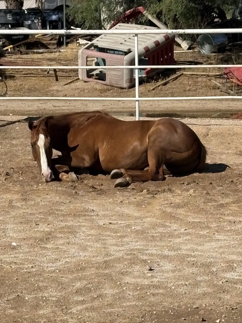 Horse Haven Equestrian & Boarding