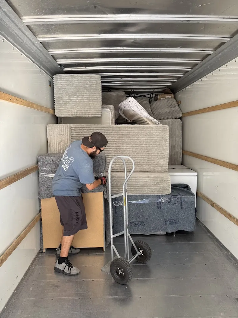 Little Bear Movers