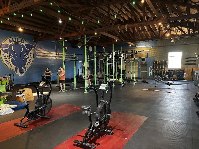 Milo Fitness Factory