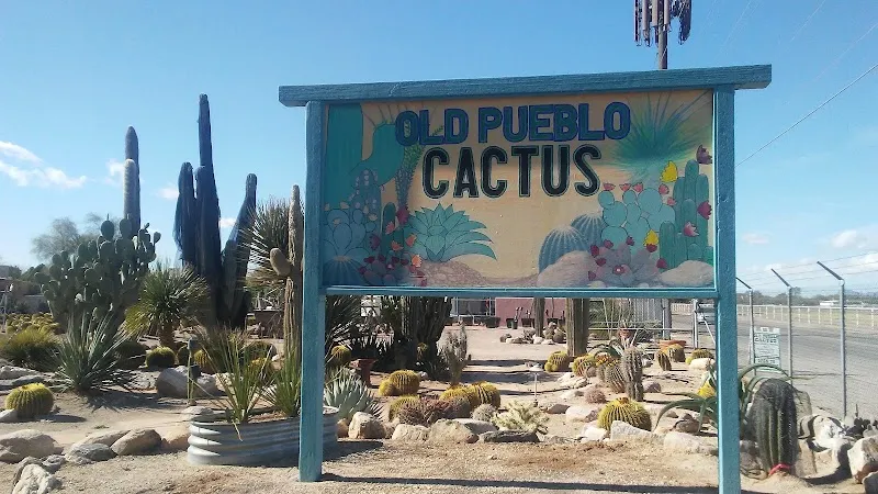 Old Pueblo Cactus