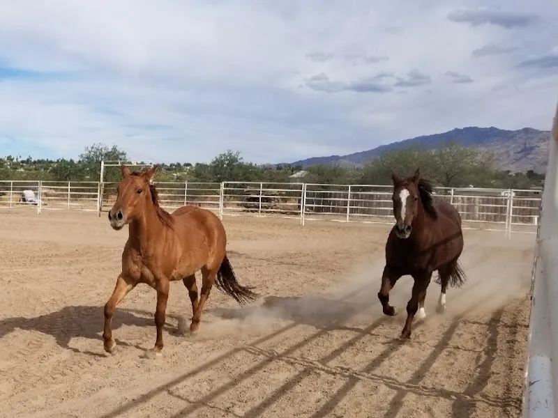 Raven Ranch