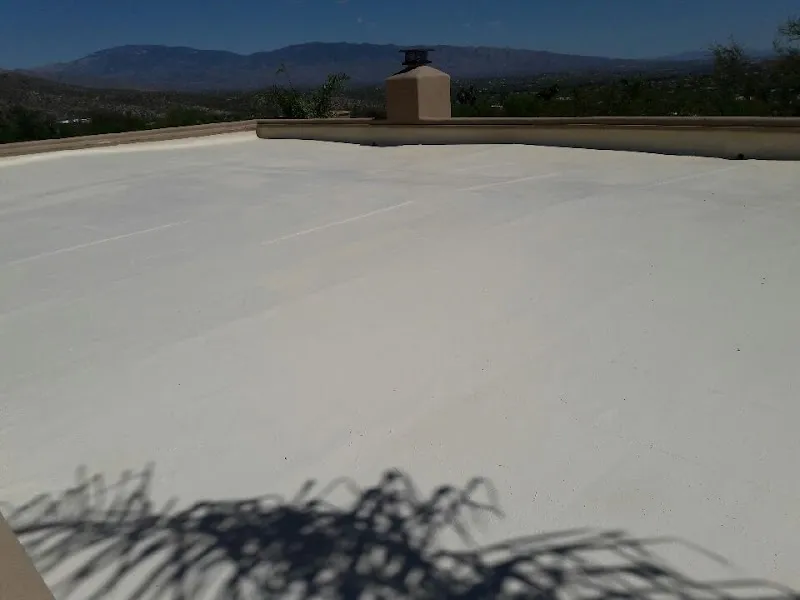 Roof Coating Specialist