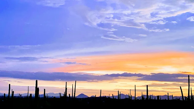 Tucson Insurance