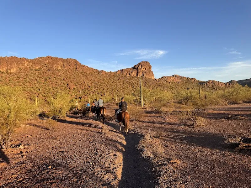Tucson Mountain Stables