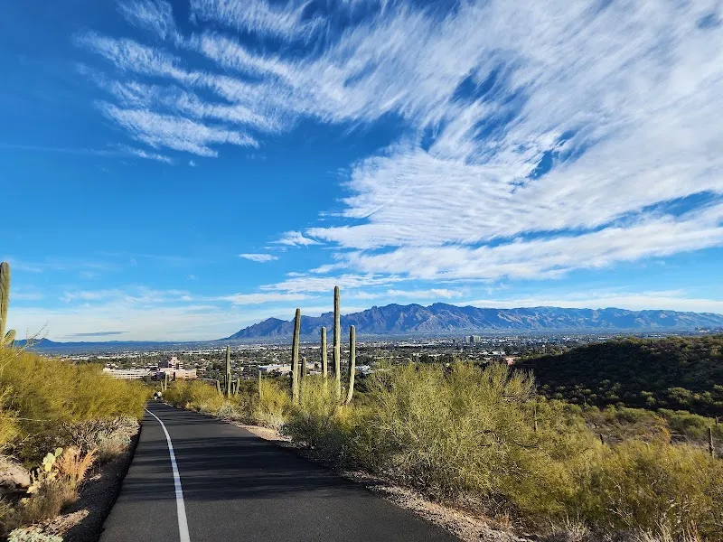 Tumamoc Hill Hiking Trail